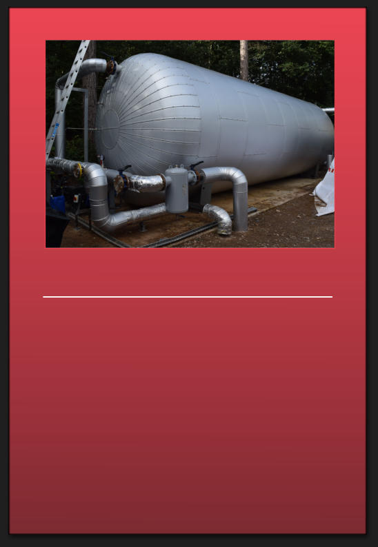 Center Parcs biogas CHP project